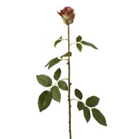 Sage & Co. Fleur Garden Rose Bud Stem (Set of 24)