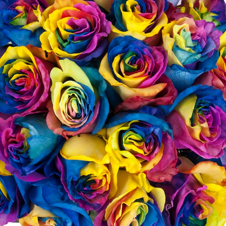 rainbow rose toy 50-stem Rainbow Roses main image 0