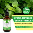 thumbnail image 3 of Aliver Mint Oil for Skin and Hair Care, Scalp & Hair Natural Oil for All Hair Types - 4 oz., 3 of 10