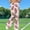 A120 Pink, variant on Xdegoge High Waisted Flare Leggings for Women Stretchy Bell Bottoms Vintage Football Print Comfy Casual Workout Yoga Pants Game Day Trousers