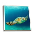thumbnail image 1 of Hawaii, Sea Turtle (Absorbent Ceramic Coasters Set of 4 Matching Images, Cork Back, Kitchen Table Decor), 1 of 3