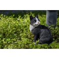 thumbnail image 1 of Estatua de Jardín Gato Negro Hi-Line Gift Ltd. de Poliresina, 1 of 7