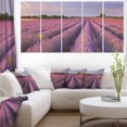 thumbnail image 1 of Lavender Flower Rows in France - Landscape Canvas Art Print, 1 of 3