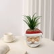 thumbnail image 3 of Jarrón, Florero Macetas navideñas de resina, Flores de plástico, Macetas navideñas, Macetas suculentas, Artesanías, Decoraciones de flores artificiales para jardín Las flores falsas son suculentas, 3 of 4