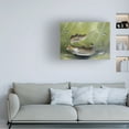 thumbnail image 2 of Trademark Fine Art Geno Peoples Speckled Trout Canvas Wall Art - 18x24, 2 of 5