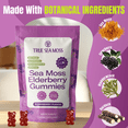 thumbnail image 6 of TrueSeaMoss Sea Moss Elderberry Gummies – Immune Support, Energy Boost, Skin & Hair Health, Detox with Magnesium, Burdock Root & Bladderwrack – 60 Vegan Gummies, 6 of 8