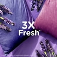thumbnail image 4 of Downy Ultra Soft Plus Fresh Fabric Softener Liquid, Calm, Lavender and Vanilla Bean, Downy Fabric Softener, Laundry Softener 83WL, 4 of 20