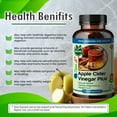 thumbnail image 3 of TrueMed Organic Apple Cider Vinegar Capsules Plus Ginger, Cinnamon & Turmeric | Digestive Support, Metabolism Support, Gut Health, Non-GMO, Gluten-Free Apple Cider Vinegar Supplement, 650 mg, 60 Veg, 3 of 7