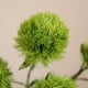 thumbnail image 5 of Claveles Verdes Artificiales, Tallos Florales Artificiales Con Pompones, Decoración Para El Hogar Y Hoteles, Aspecto Realista, Vegetación Duradera, Sin Mantenimiento, 5 of 8