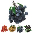 thumbnail image 2 of Artificial Fruit Lifelike Creative Decorative Fake Fruit Photography Prop, 2 of 7