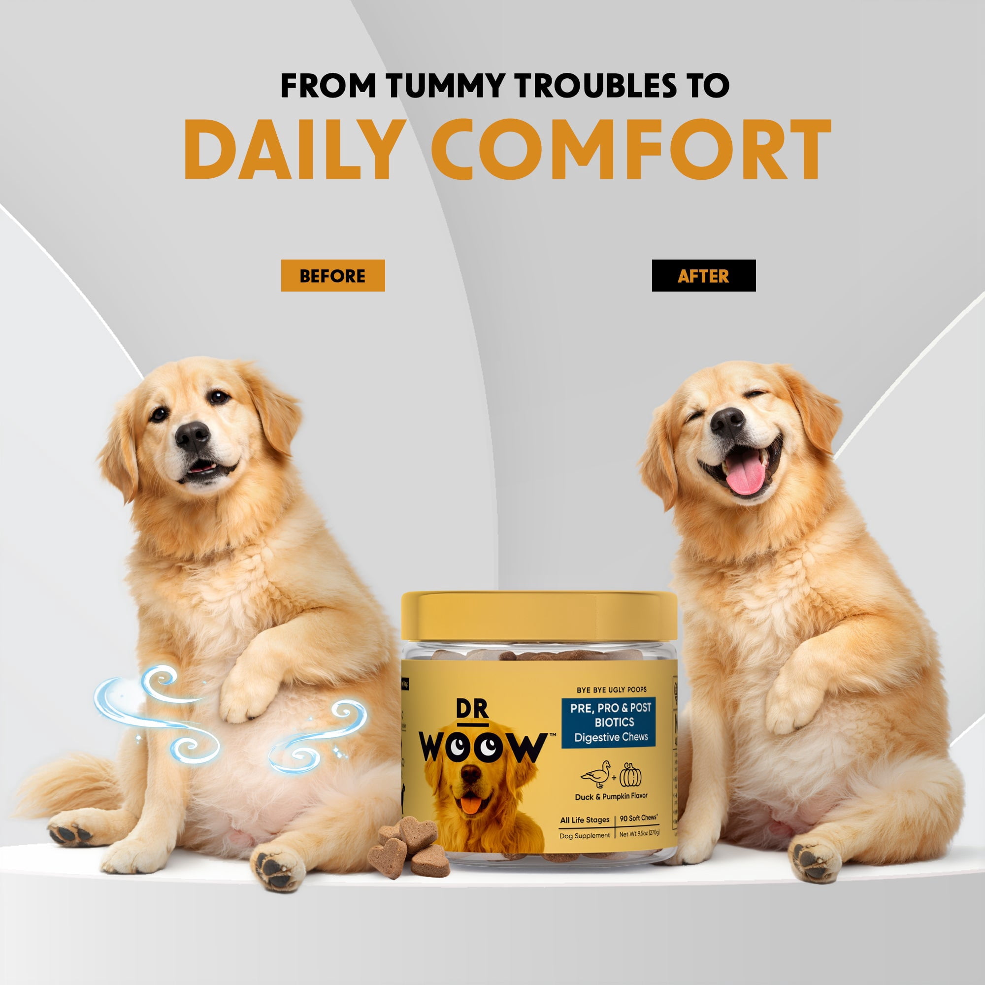 Pre, Pro & Postbiotic Digestive Support Soft Chews