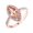 Rose gold, variant on YYKihy Champagne Diamond Ring Elegant Rhinestone Ring Rose Gold Jewellery Rings Women Fashion Full Diamond Zircon Rings For Women Size 6 10