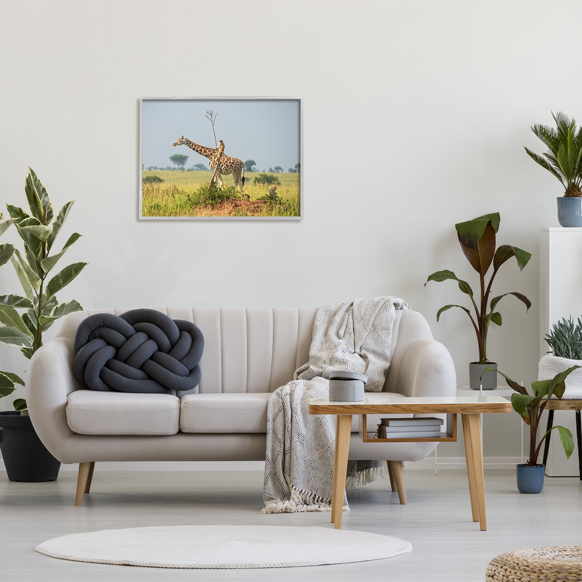 Stupell Industries Monkey Riding Giraffe Animals & Insects Photography Gray Framed Art Print Wall Art, 30 x 24