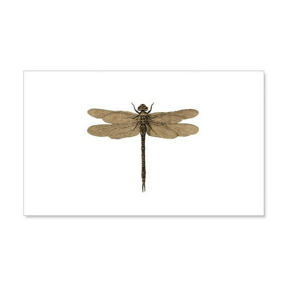 CafePress - Dragonfly Vintage Wall Decal - 20x12 Wall Decal