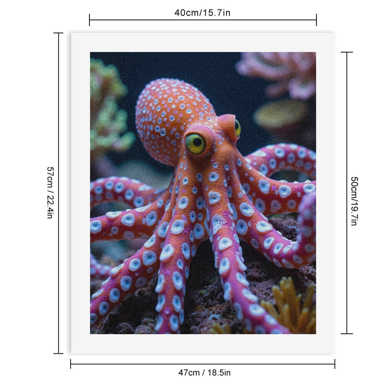 Paint by Numbers Kit for Adults, Octopus Vivid Coral Ocean Scene Paint by Numbers, Easy Paint by Numbers Kit for Adults Beginner, DIY Adult Paint by Number Kits on Canvas, Home Decor