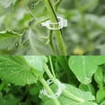 thumbnail image 4 of 302PCS Plastic Plant Support Clips for Tomato Vine, Vegetables, Garden, 4 of 5