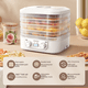 thumbnail image 1 of Máquina de frutos secos, secadora de alimentos para el hogar, secadora de alimentos, frutas y verduras, secadora de aire pequeña, máquina secadora de frutas, 1 of 4