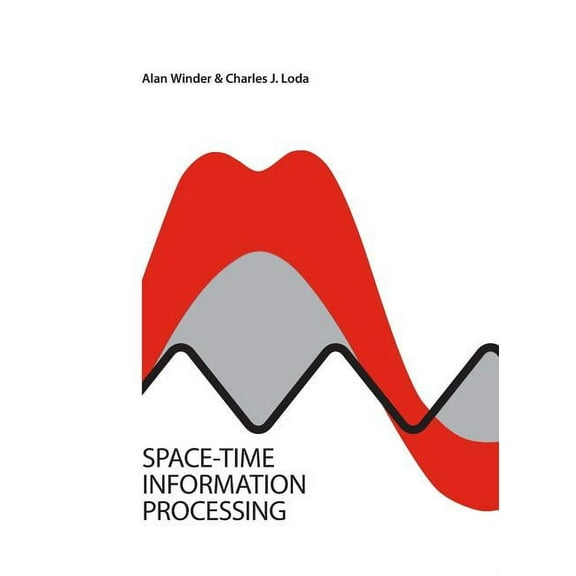 Space-Time Information Processing (Paperback)