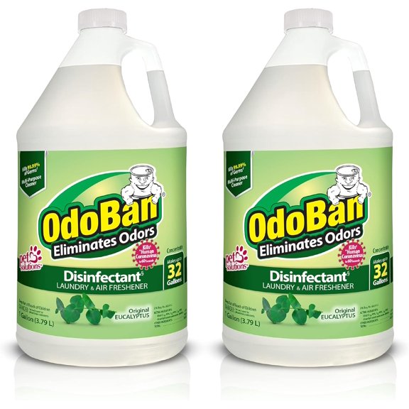 Disinfectant Concentrate and Odor Eliminator, 1 Gallon, Original Eucalyptus Scent