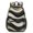 Black and Gold Marble Pattern, variant on Black and Gold Marble Pattern 17" Waterproof Oxford School Backpacks for Teens, S-Shape Padded Straps, for School, Travel, Hiking, Camping