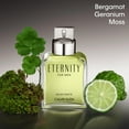 thumbnail image 3 of Perfume Calvin Klein Eternity & Euphoria Body Spray para hombre, 3 of 5