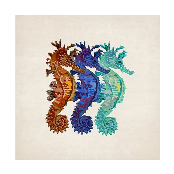 Trademark Fine Art Emel Tunaboylu Denizatlari Canvas Wall Art