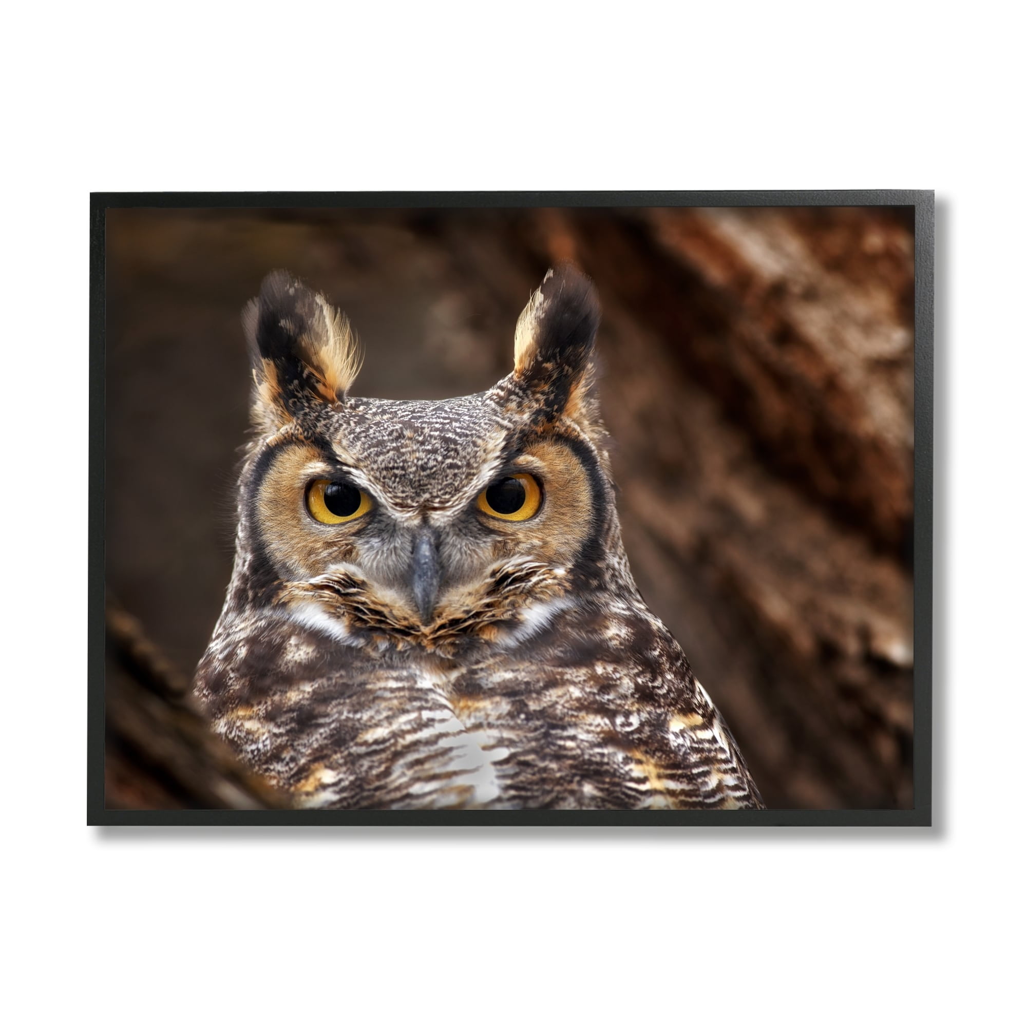 Stupell Industries Horned Owl Nature Photography Animals & Insects Photography White Framed Art Print Wall Art