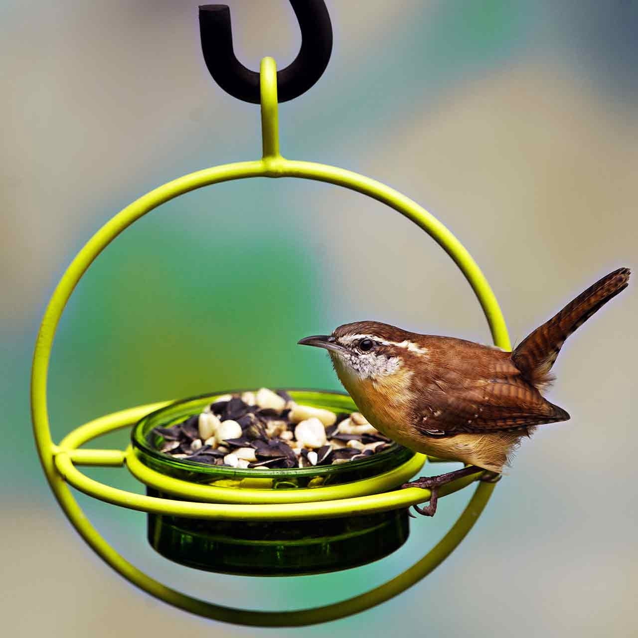Mosaic Birds Hummble Bold Hanging Bird Feeder for Outdoors, Oriole, Finch Wild Bird Feeders - Red