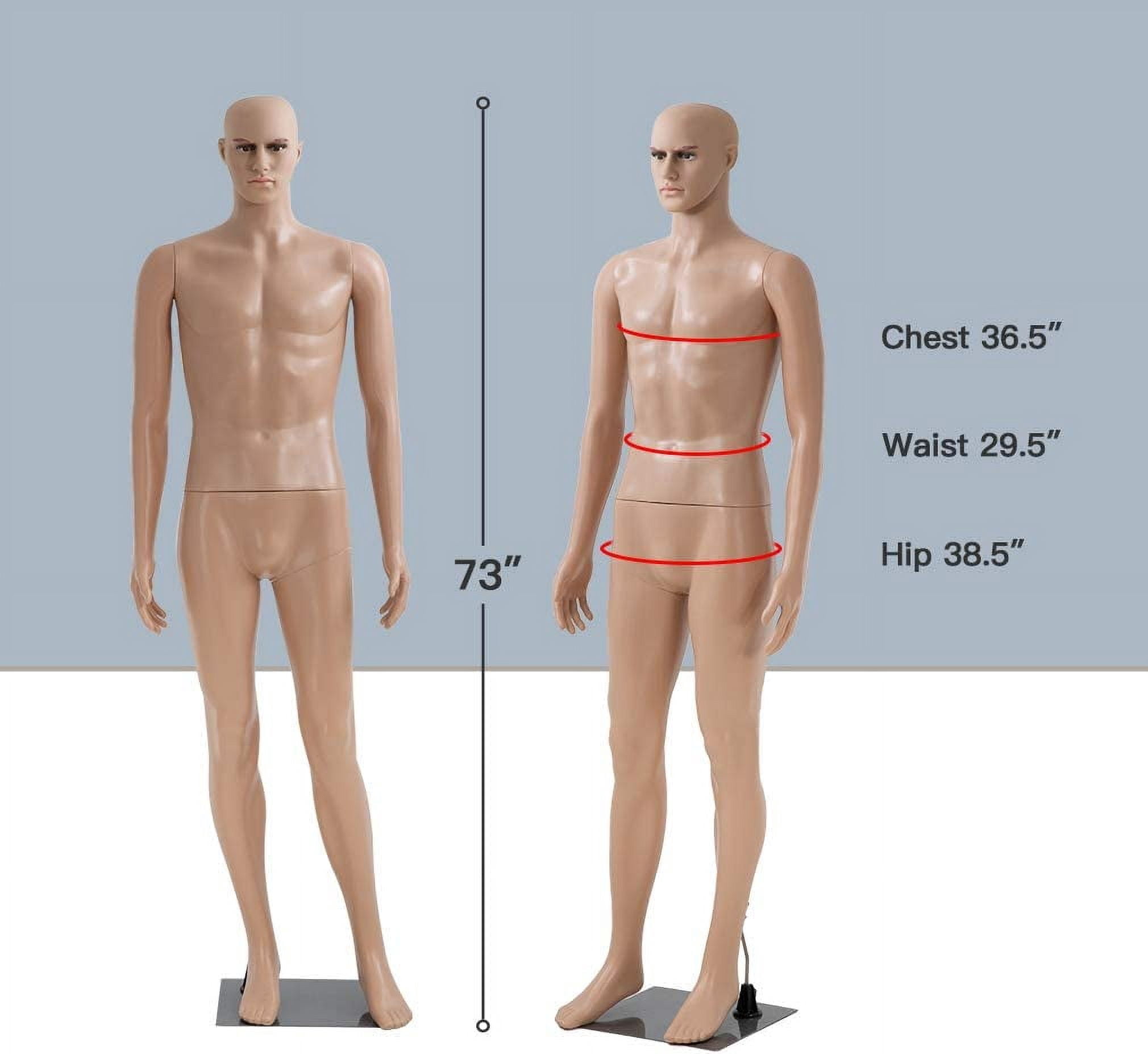Male Sewing Mannequin Polyethylene (PE) Full Body Retail 73 inches Mannequin Material Mannequin Torso Detachable Stand Head Arm Rotation Metal Base for Display Clothing
