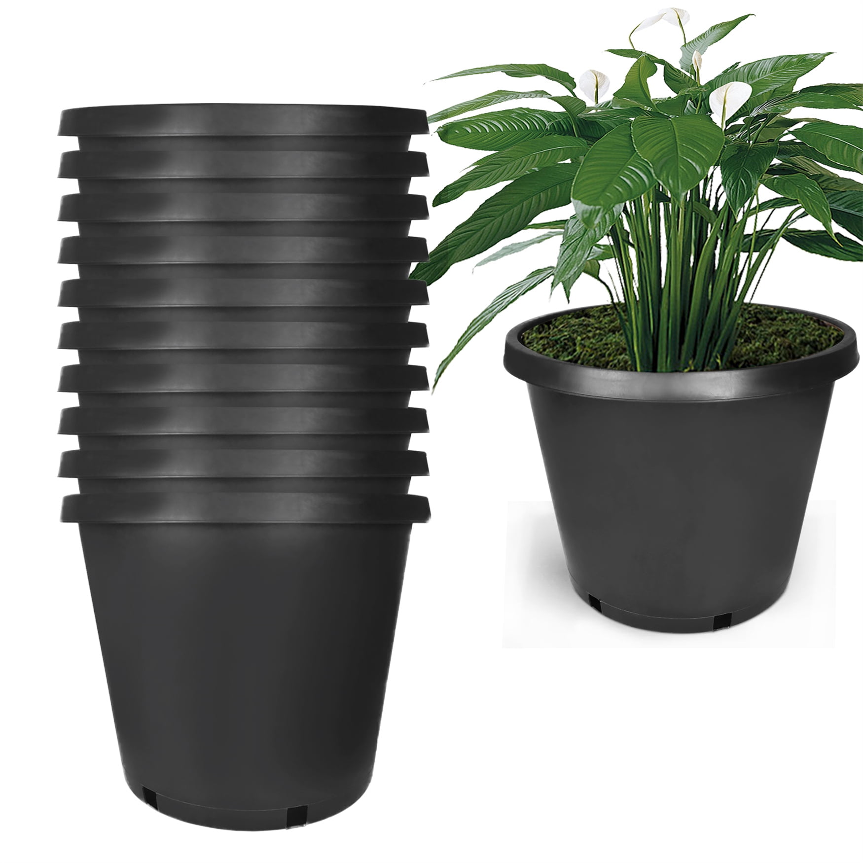 Plant Pot Flower Pot Coaster 28,5 x 28,5cm Pot-Lower Shell Pots 