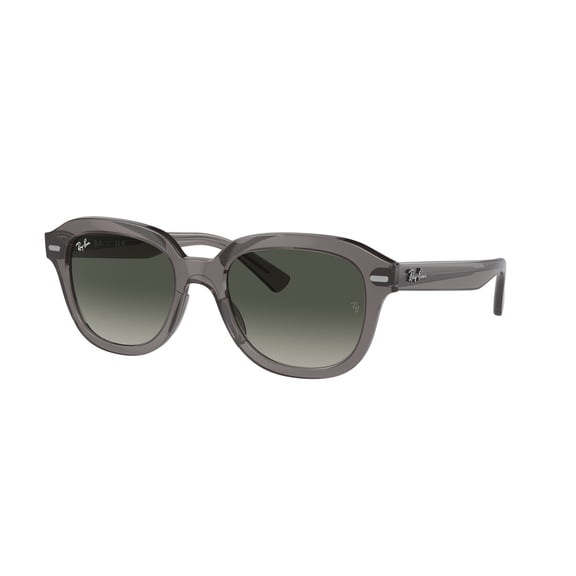 Sunglasses Ray-Ban RB 4398 667571 Erik Opal Dark Gray Gradient G