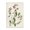 Vintage Foxglove Study, variant on Stupell Industries French Country Vine with Red Blossoms Black Framed Giclee Art, 11 x 14, by Vision Studio