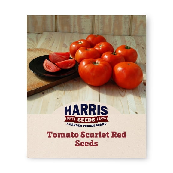 Harris Seeds Tomato Scarlet Red Variety, Non-GMO, Fresh Market Tomato, 50 Count