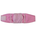 thumbnail image 6 of Zhaomeidaxi Puppy Diaper Solid Color Health Care Summer Pet Dog Anti-harassment Physiological Pants for Summer, 6 of 8