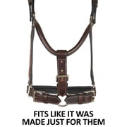Schneiders McKenzie Padded Leather Ranch Halter for Horses | Size Full Horse