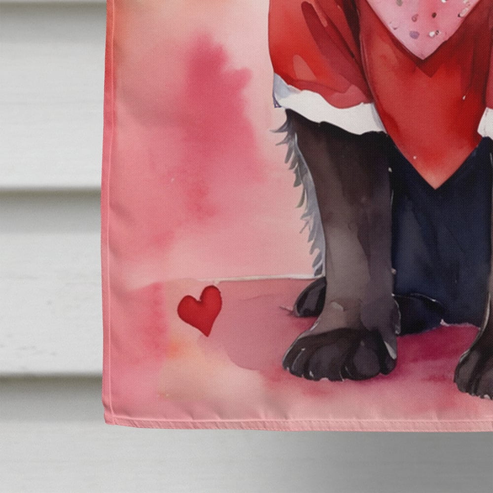 Newfoundland My Valentine House Flag 28 in x 40 in