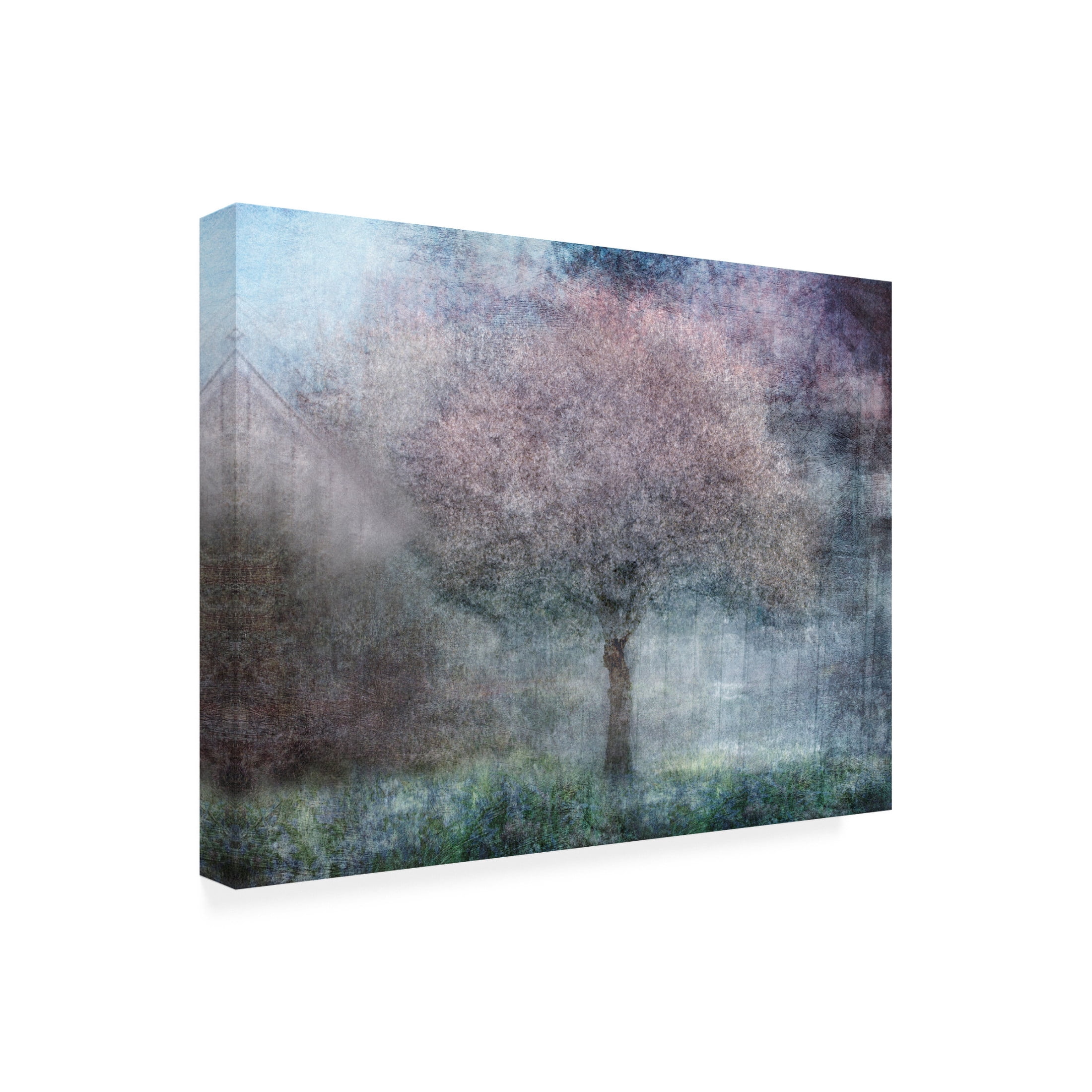 Canvas Wall Art - Nel Talen 'Magic Of Spring' Wall Art for Living Room, Bedroom, or Office Décor by Trademark Fine Art - 19 x 14 Inches