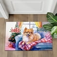 thumbnail image 4 of Watercolor Hello Winter Pomeranian Chill Christmas Welcome Doormat Pom Dog Lover Gifts Indoor Outdoor Welcome Mat - 00016, 4 of 5