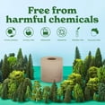 thumbnail image 2 of Papel higiénico Caboo Tree Free, sin blanquear, 2 capas, 12 rollos dobles, 2 of 7