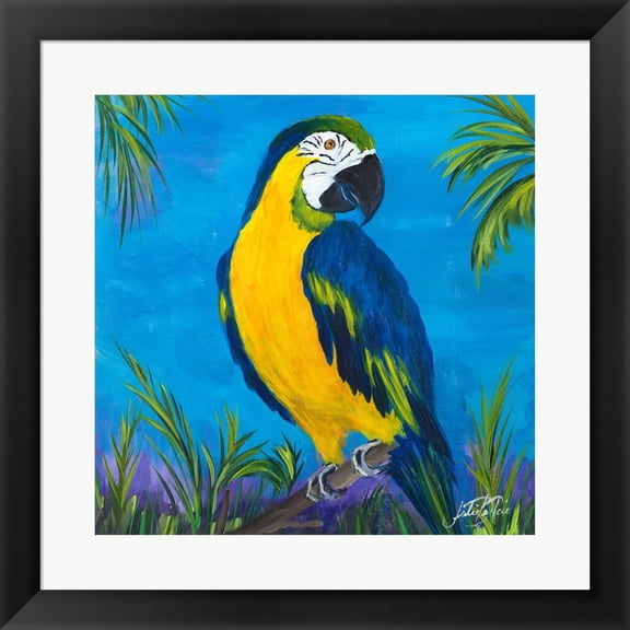Island Birds Square II by Julie DeRice, Framed Wall Art, 19.5W x 19.5H