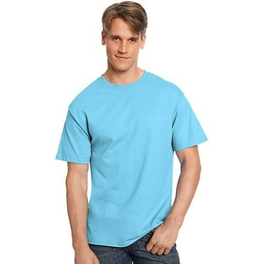 Hanes 5250T Men's Authentic-T T-Shirt