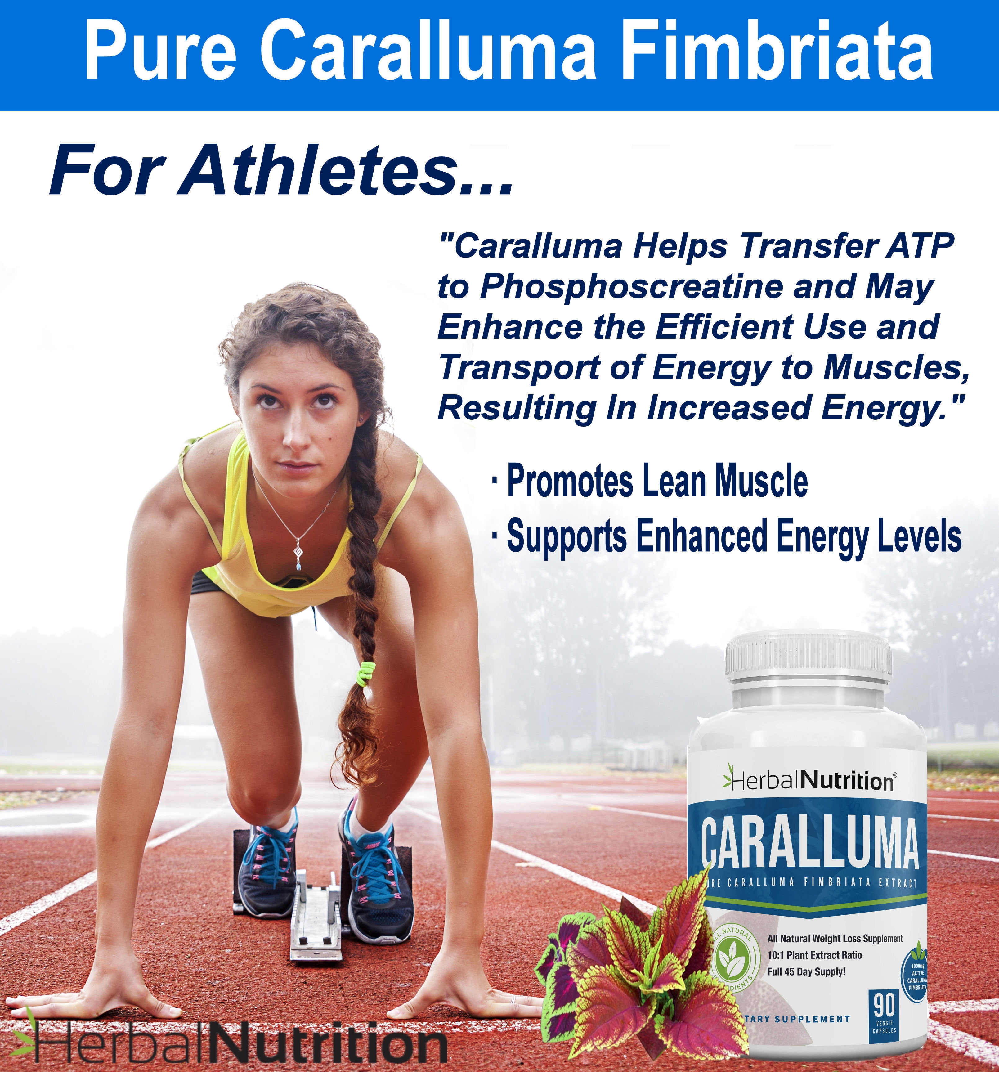 Caralluma Fimbriata 1200mg Herbal Nutrition Brand Two 90 Count Bottles! Weight Loss Supplement