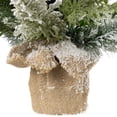 thumbnail image 6 of Northlight Flocked Balsam Pine Artificial Mini Christmas Tree in Burlap Base - 24" - Unlit, 6 of 7