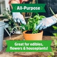 thumbnail image 6 of (2 pack) Back to the Roots Organic All-Purpose, Peat-Free Premium Potting Mix (6 QT), 6 of 13