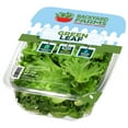 thumbnail image 2 of Backyard Farms Green Leaf Pre-Washed Lettuce, 4 oz Resealable Package, Fresh, 2 of 4