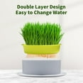 thumbnail image 6 of RKZDSR Soilless Hydroponic Cultivation Of Small Grass And Vegetables In Grass Pots With Porous Pots, 6 of 9