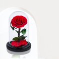 thumbnail image 4 of Rosas preservadas hechas a mano en cúpula de cristal, regalos del día de San Valentín para ella, rosas rojas reales que duran más de un año, rosas de cristal eternas, 4 of 5