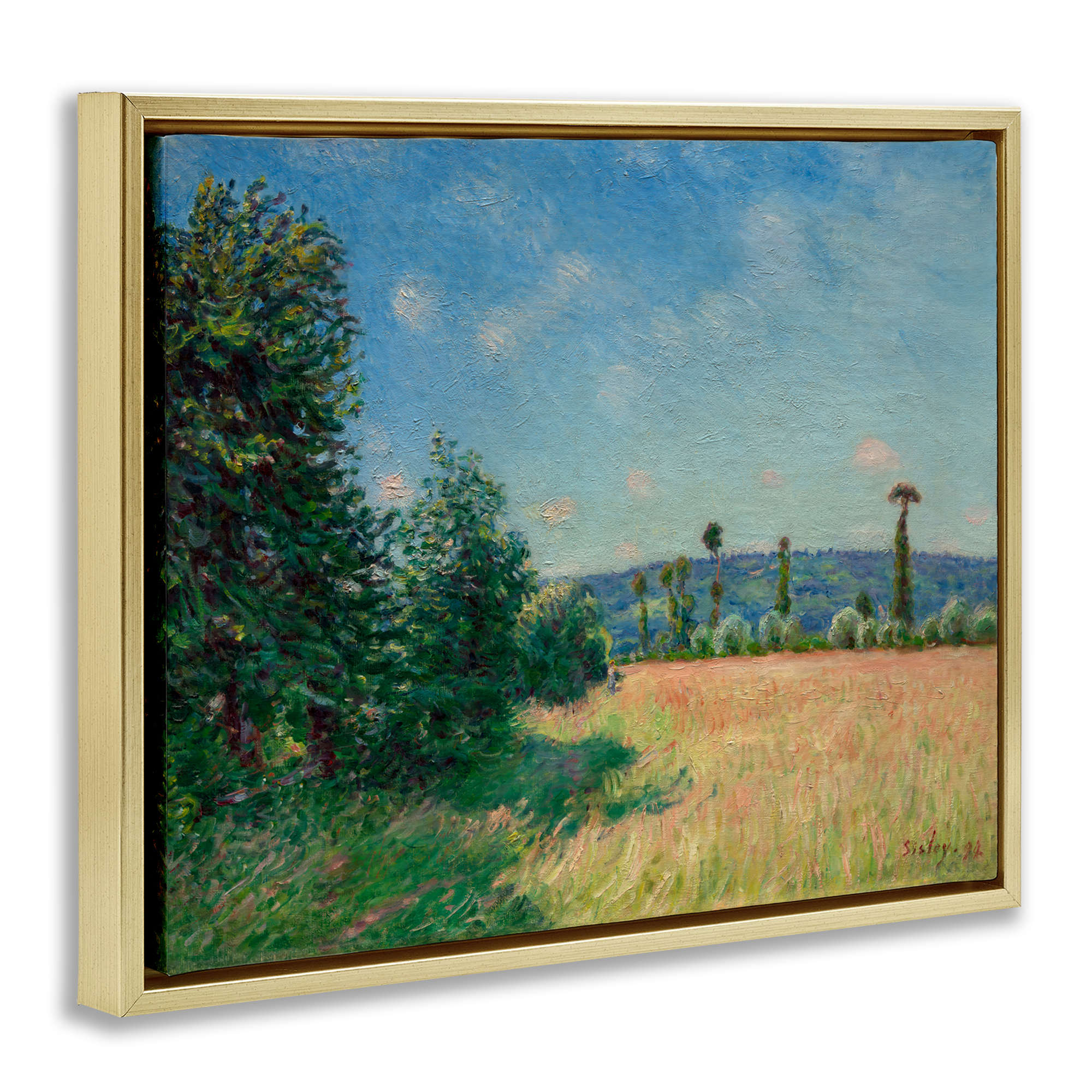 Sahurs Meadows in Morning Sun Gold Framed Floater Canvas Wall Art, design by Alfred Sisley