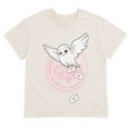 thumbnail image 3 of Harry Potter Hedwig Owl T-Shirt and Bike Shorts Outfit Set Iridescent Toddler to Big Kid, 3 of 5
