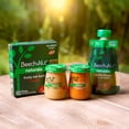 thumbnail image 4 of (9 Pack) Beech-Nut Naturals Stage 2, Variety Baby Food, 3.5 oz Pouch, 4 of 13